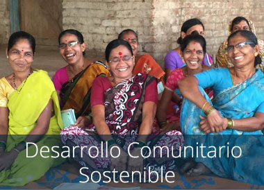 Desarrollo sostenible comunitario por Prasad Chikitsa en India