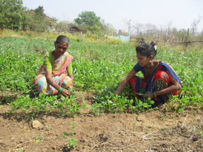 Mas de 10 familias han comenzado a cultivar huertos caseros gracias a Prasad