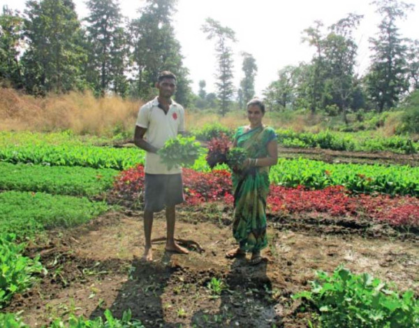 Prasad Programas de ayuda a la agricultura en India